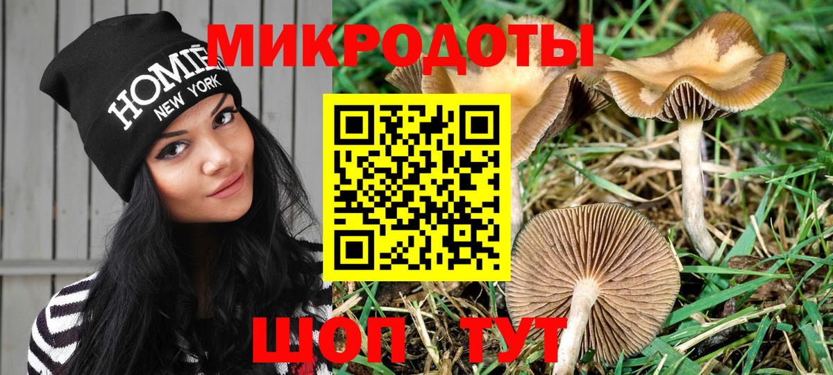 Ногинск  Псилоцибиновые грибы MAGIC MUSHROOMS  Галлюциногенные грибы мицелий  Вход с VPN 