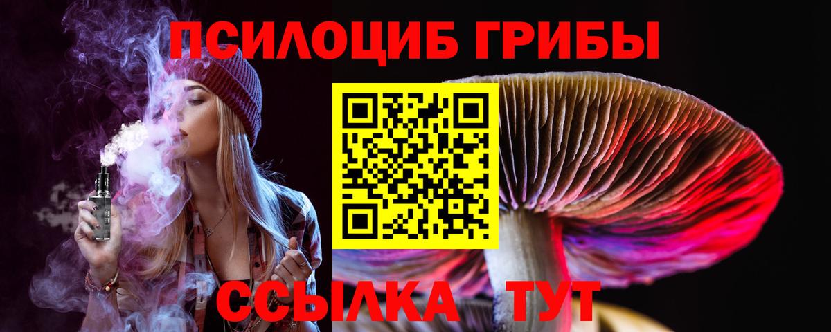 Псилоцибиновые грибы Psilocybine cubensis Ногинск